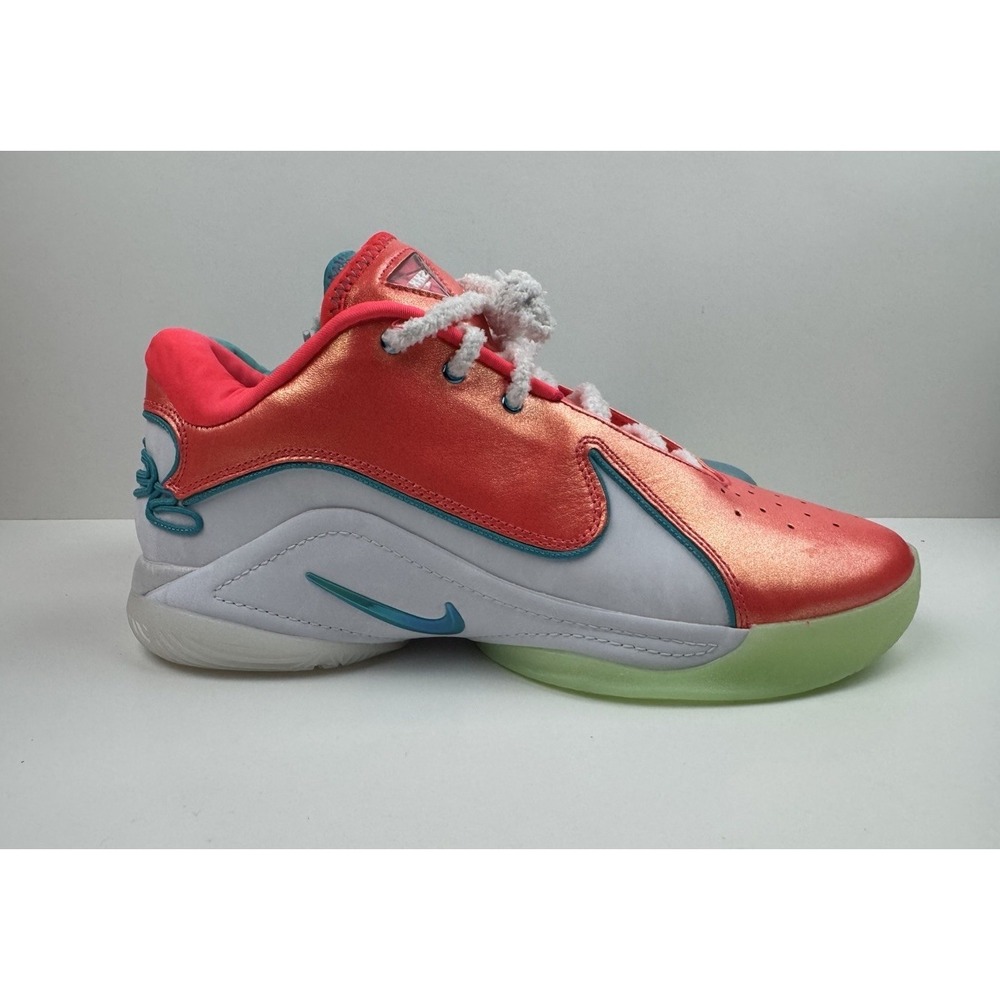 Nike Lebron XXII Men's Size 10.5 Xmas Solar Red Dusty Cactus White HV5148-600